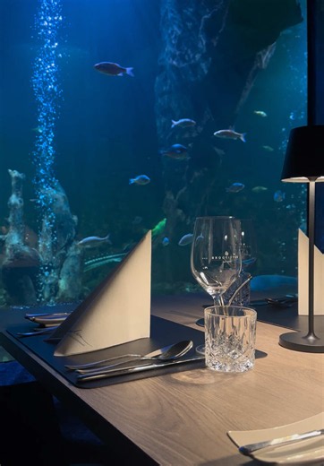 La mer Neuwied Unterwasserrestaurant – Besuch & Eindrücke