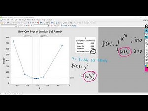 Minitab - Transformasi Box-Cox