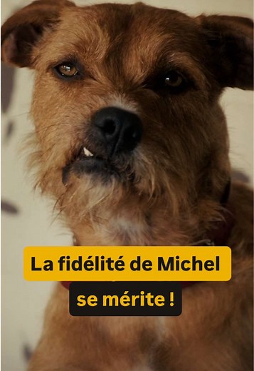Les Standards de Michel dans