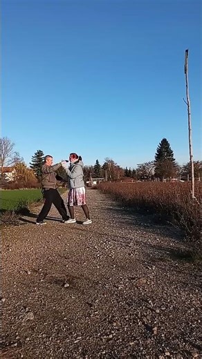 Tai Chi Chuan Selfdefense #martialarts #defense #taichi #combat #kungfu #kempo