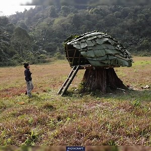 Brave girl Hand-Building a Turtle Shell Shelter in a Dry Forest Haven | Tsx mar 21