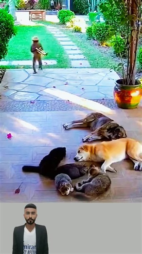 funny1 (@funny14724)’s videos with original sound - funny1