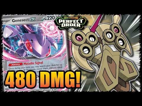 Doublade Can OHKO ANYTHING - Perfect Order | Table Top Gameplay