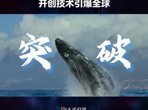 DeepEP开源6小时破3700星！DeepSeek开创技术引爆全球。打破通信瓶颈，MoE专家协作更高效