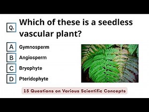 General Science Quiz for Grade 9: 15 Questions on Various Scientific Concepts