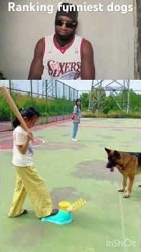 Funny dog fails, Tweaker reacts, drop a sub if I made you laugh #funny #subscribers #youtubeshorts