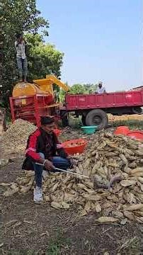 इस विशालकाय गुसैल नाग को देख कर लोगों में हडकंप मच गया 😱😱