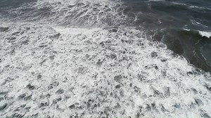 660 kilometers ino the Pacific Ocean from Chile's coast lies the Juan Fernández archipelago, where approximately one thousand people live and depend on artisanal lobster fishing and tourism for their livelihoods. Today this community serves as a global example of sustainability. Dive into @OceanaenChile's "The Ocean of Juan Fernández" documentary to learn more: https://bit.ly/2yBXTNN | Oceana