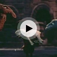 Why Can't The Animals Smile by Little Drummer Boy