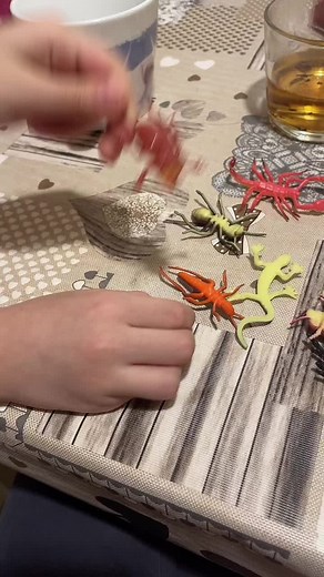 Playful Toy Insect and Spider Manipulation Video