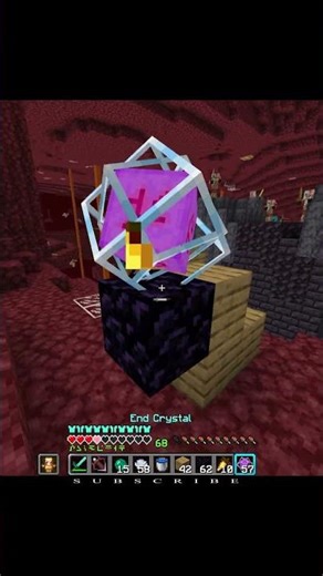 Fighting With A Brute #minecraft