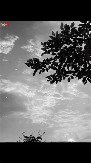 O Neel Gagan ke deewane ✨❤️🥰||lyrics