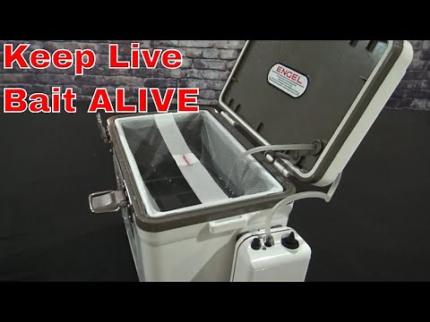 Engel Live Bait Cooler Demo