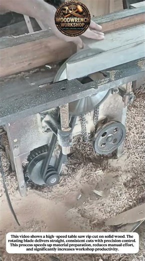 High-Speed Table Saw Rip Cut | Efficient Solid Wood Processing