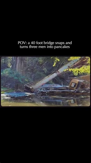 On October 16, 2024, a catastrophic structural failure occurred during a bridge replacement project on State Route 149 over the Strong River in Simpson County, Mississippi. A seven-man work crew from T.L. Wallace Construction was using heavy machinery to prepare the 80-year-old bridge for demolition when the entire structure unexpectedly gave way. The bridge plummeted approximately 40 feet into the water, taking the workers and their equipment down with it. The disaster claimed the lives of thre