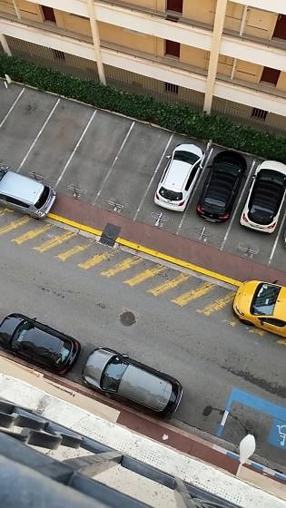 Paper plane that actually flies