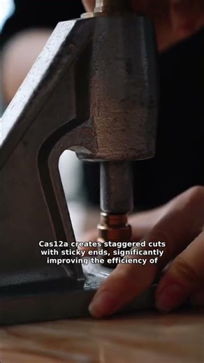 Beyond basic CRISPR: How Cas12a is redefining