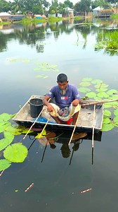 1.4M views · 8.3K reactions | Amazing hook fishing in river | MR Fishing Life | Facebook