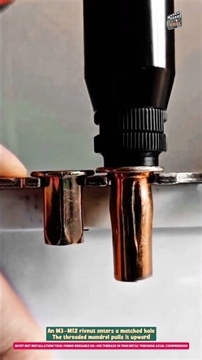 Rivet Nut Installation Tool Forms Reusable M3–M12 Threads in Thin Metal Through Axial Compression