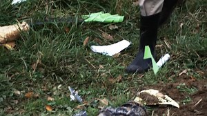 Vuelo 1771 de PSA Airlines. "Yo soy el problema". Español latino (Solo la intro es español de España) | Mayday Cortos