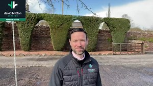 5.8K views · 79 reactions | Location - Lazonby, Eden Valley Price -...