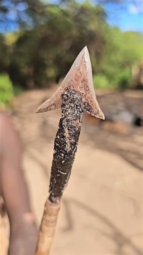 How Tribal people Prepare Arrows That Never Miss