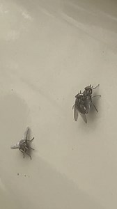 Absolutely beautiful | Exploring Alabama