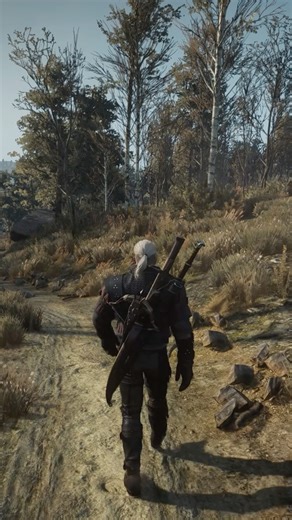 Witcher 3 — Peaceful Walks in a Dangerous World ⚔️ #shorts