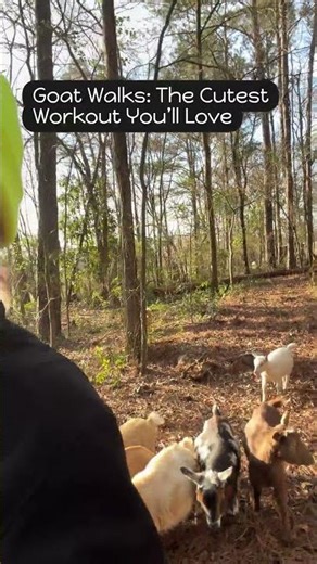 Discover the Charm of Goat Walks