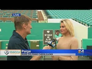 DCC Heavy Hitters: Dolphins Cheerleader Paige