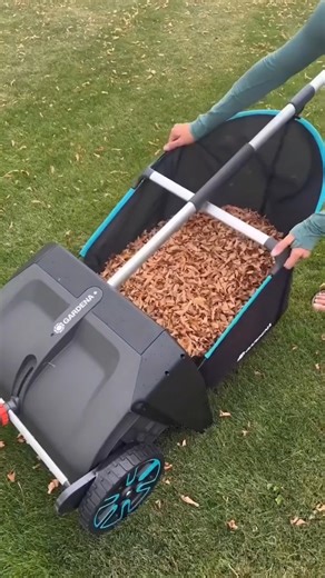 Watch Forget the rake on Amazon Live