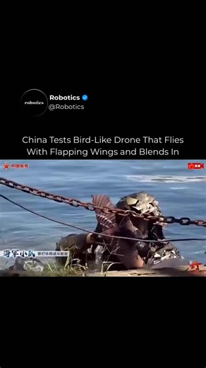 Robotics on Instagram: "Follow US (@ROBOTICS) to learn something NEW everyday 🚀 Comment ‘Robot’ to get access to our Weekly Robotics Newsletter. China is testing a biomimetic drone designed to look and fly like a real bird. It uses flapping wings instead of rotors and follows a natural glide pattern that makes it difficult to spot from the ground. Footage from a coastal exercise appears to show the drone being deployed in a military context. By mimicking wildlife, the drone can move more quietl