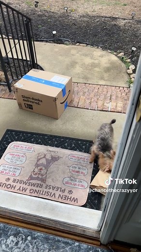 Why Saturday Deliveries Are the Best