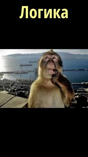 Логика присутствует, УРААА Мод Iron's Spells 'n Spellbooks #minecraft #майнкрафт #magic #mod