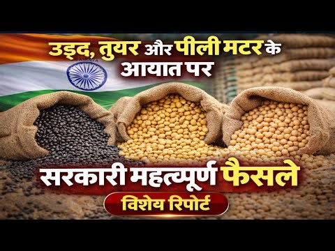 उड़द, तुअरऔर पीली मटर के आयात पर सरकारी महत्वपूर्ण फैसले विशेष रिपोर्ट