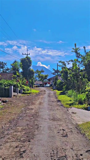 Vibes Tamansatriyan: Exploring Malang's Charm