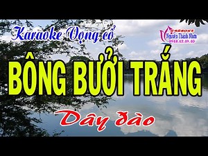Karaoke vọng cổ BÔNG BƯỞI TRẮNG - DÂY ĐÀO