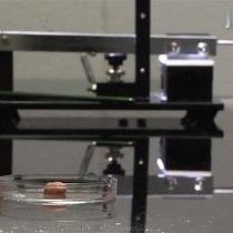 Video: Non-Laser Capture Microscopy Approach for the Microdissection of Discrete Mouse Brain Regions for Total RNA Isolation and Downstream Next-Generation Sequencing and Gene Expression Profiling |