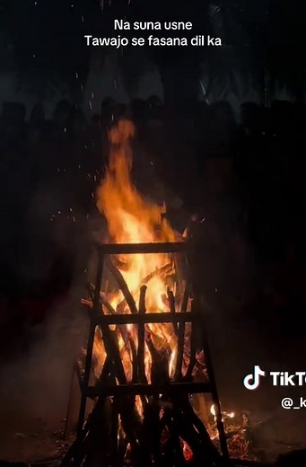 24PetWatch Microchip for Your Beloved Pets