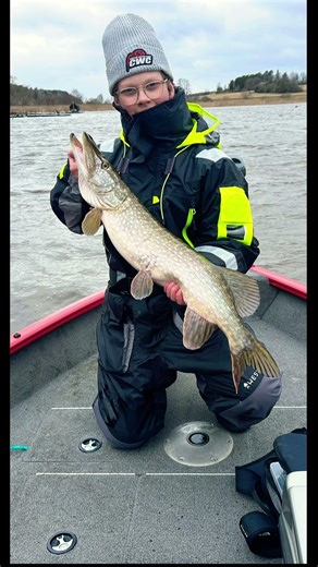 Nice pike 90cm 🙌🏼🙌🏼. #catchwithcare #cwc #fishing #goviral #guppie @catchwithcare #pike #fyp