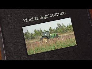 The Story of Florida Agriculture