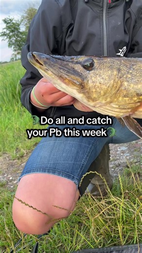 Catch Your PB This Week: Best Pike Fishing Tips