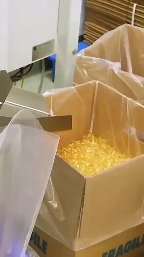 Understanding How Vitamins Are Made