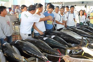 Navotas fish trade resumes after 2-day strike