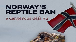 What is happening in Norway?