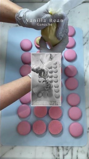 Pink Macarons