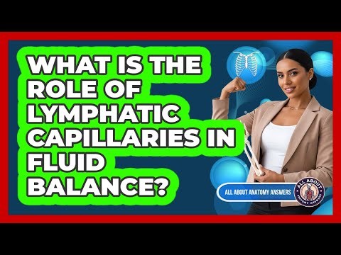 What Is The Role Of Lymphatic Capillaries In Fluid Balance?