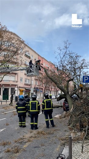 🌧️ Depressão Kristin 🌪️ O RSBL mobilizou todos os meios e está desde a noite de ontem, 27 de janeiro, madrugada e dia de hoje, 28 de janeiro, no terreno a proceder a trabalhos de normalização da cidade, designadamente nas operações de socorro à população, limpeza de vias e corte de árvores. Mantenha-se seguro! #RSB #lisboa #depressaokristin #vento | Regimento de Sapadores Bombeiros - Lisboa