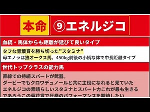 [Kikuka Sho 2025] ◎ Become the strongest horse. A race between five horses, including some less p...