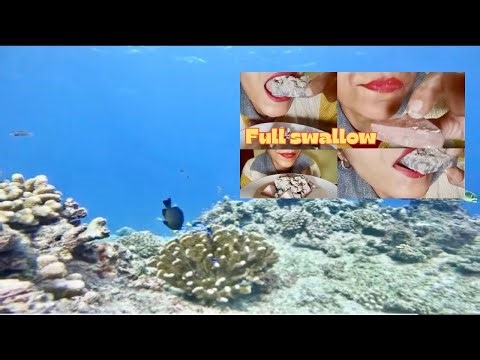 Colorful Marine Fishes Inside An Aquarium